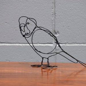 Budgie Wire by Melissa Conroy
