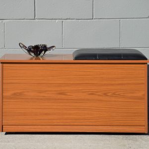 Schreiber Blanket Box (Circa 1970s)